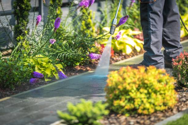  Venice Gardens, FL Pressure Washing Pros